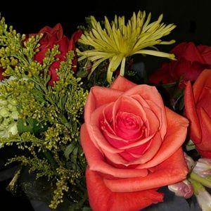 Meet your Posher, Merry